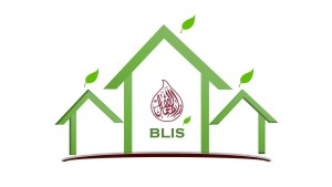 BLIS logo